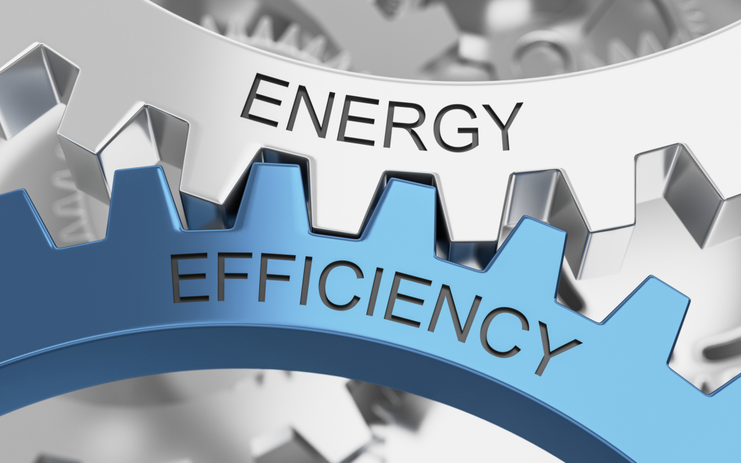 Ameren Illinois: Energy Efficiency Program Portfolio Evaluation