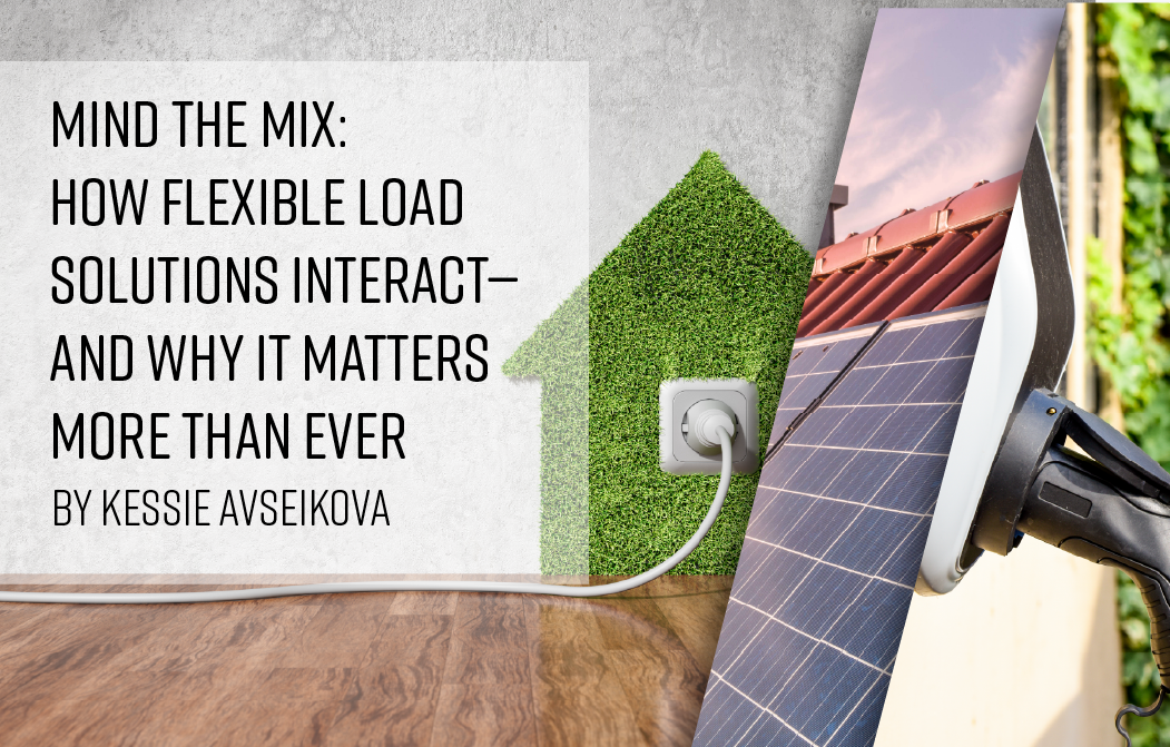 Mind the Mix: How Flexible Load Solutions Interact—and Why It Matters More Than Ever
